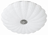 Накладной светильник Lightstar Arco II 225430 100_100_3094330